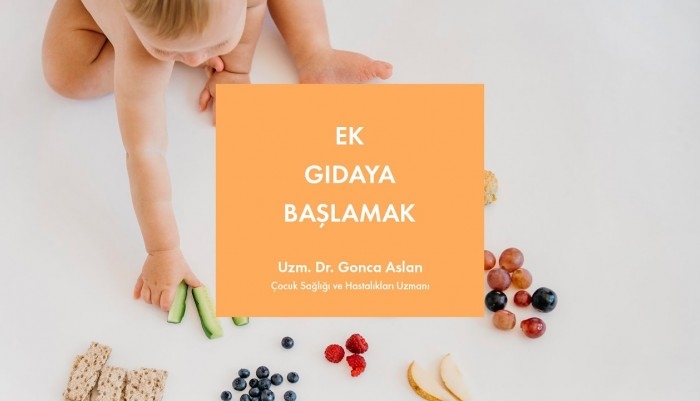 Ek Gıdaya Başlarken Nelere Dikkat Etmeliyim